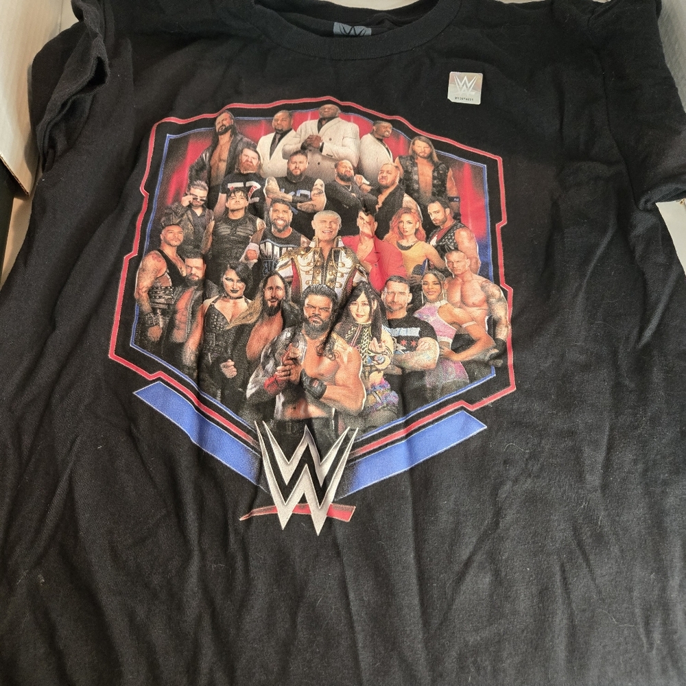 WWE Authentic 2024 I Was There Tour Merch Youth L Kids T Shirt Wrestling